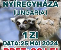 Excursie la ZOO Nyíregyháza (Ungaria)!